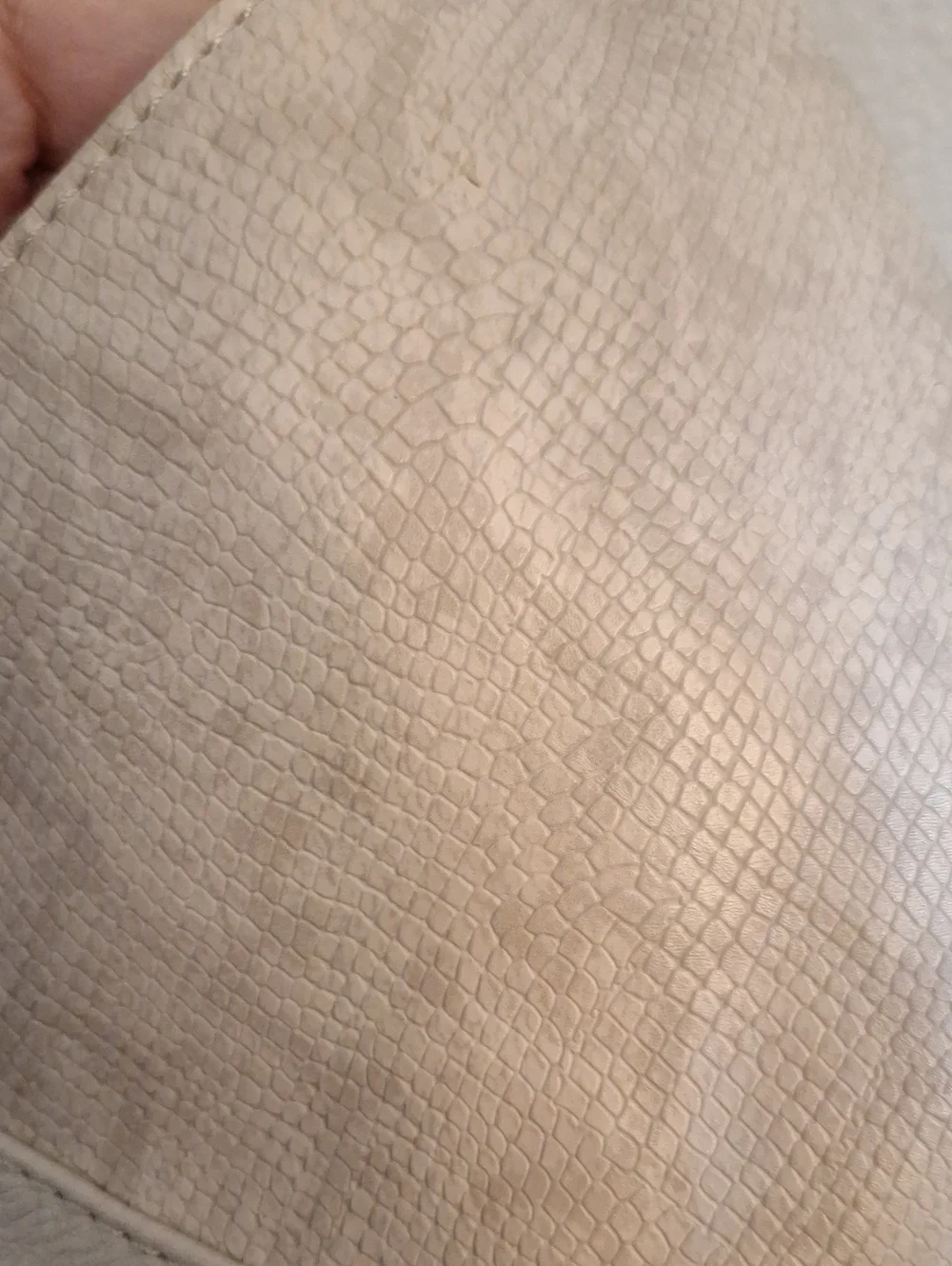 Jessica Simpson Cream Hobo Bag